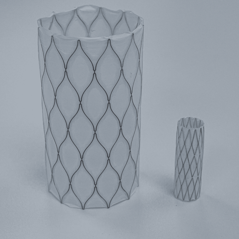 One large and one small covered stent
