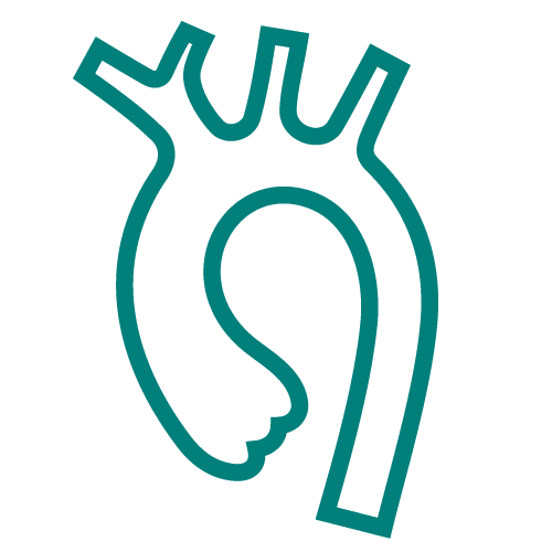 Aortic valve icon, teal