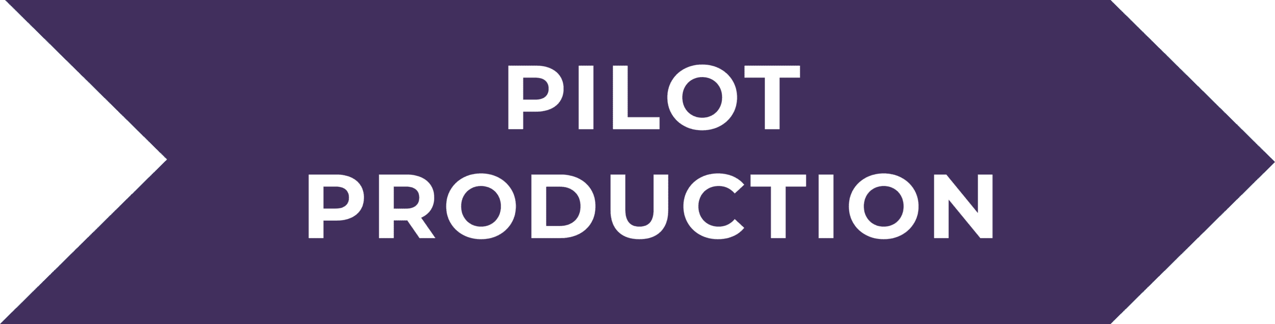 Graphic with text "Pilot Production"